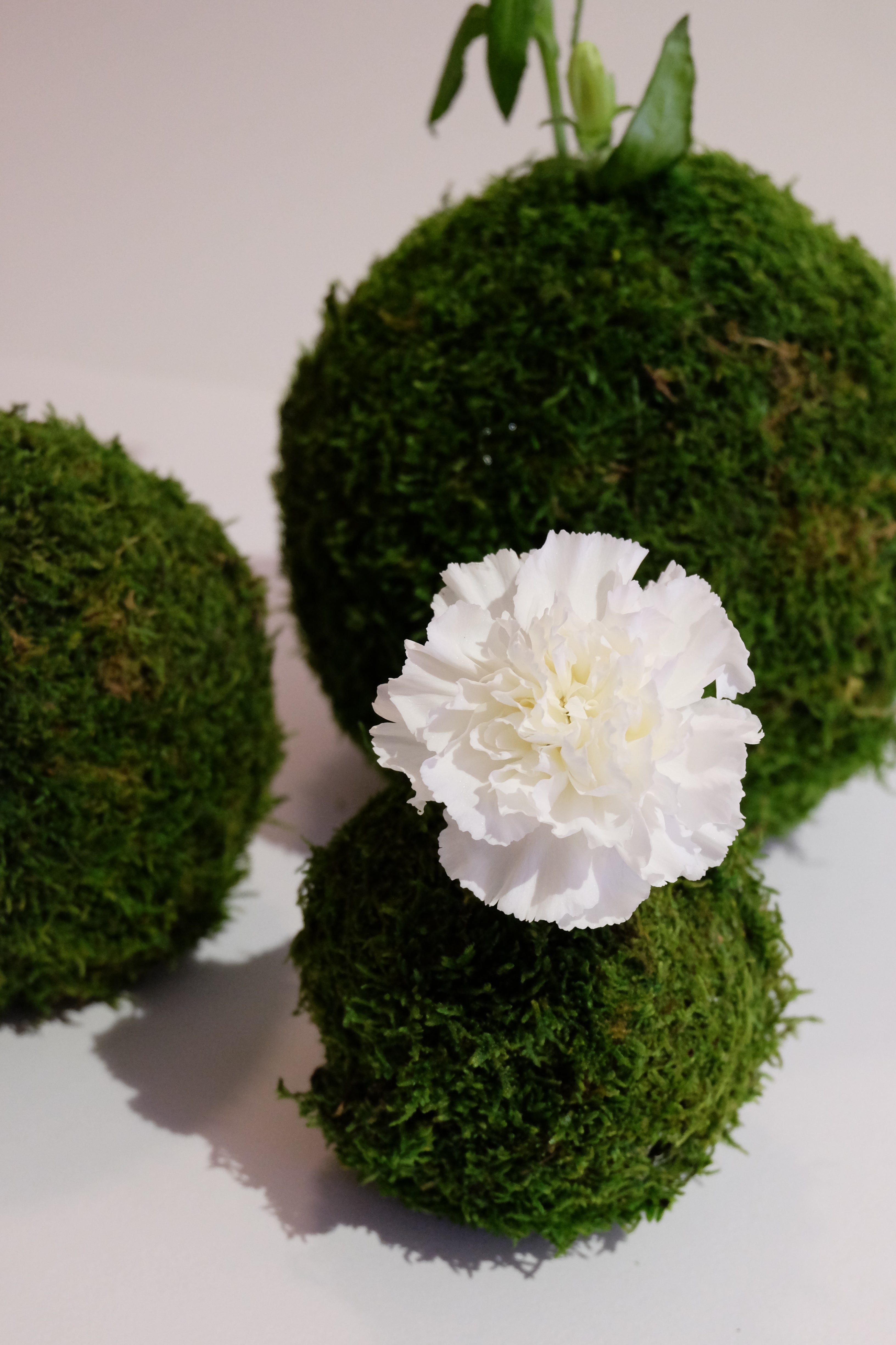 Les Vases Terre Eau