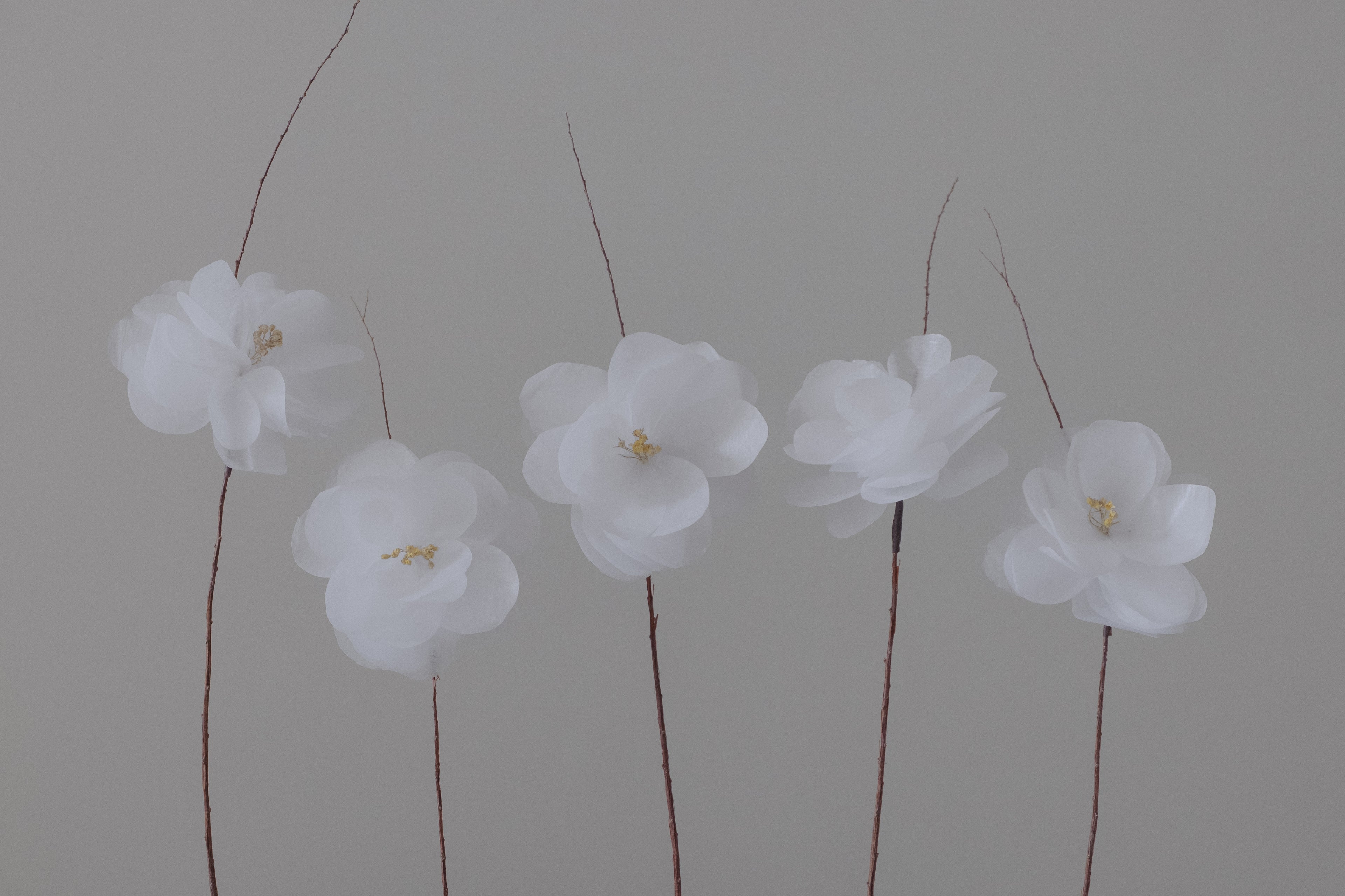 Fleurs Éternelles, créations originales en papiers ou en plume réalisées à la main dans notre atelier à Strasbourg.